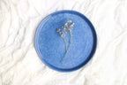 Flat Plates 11"