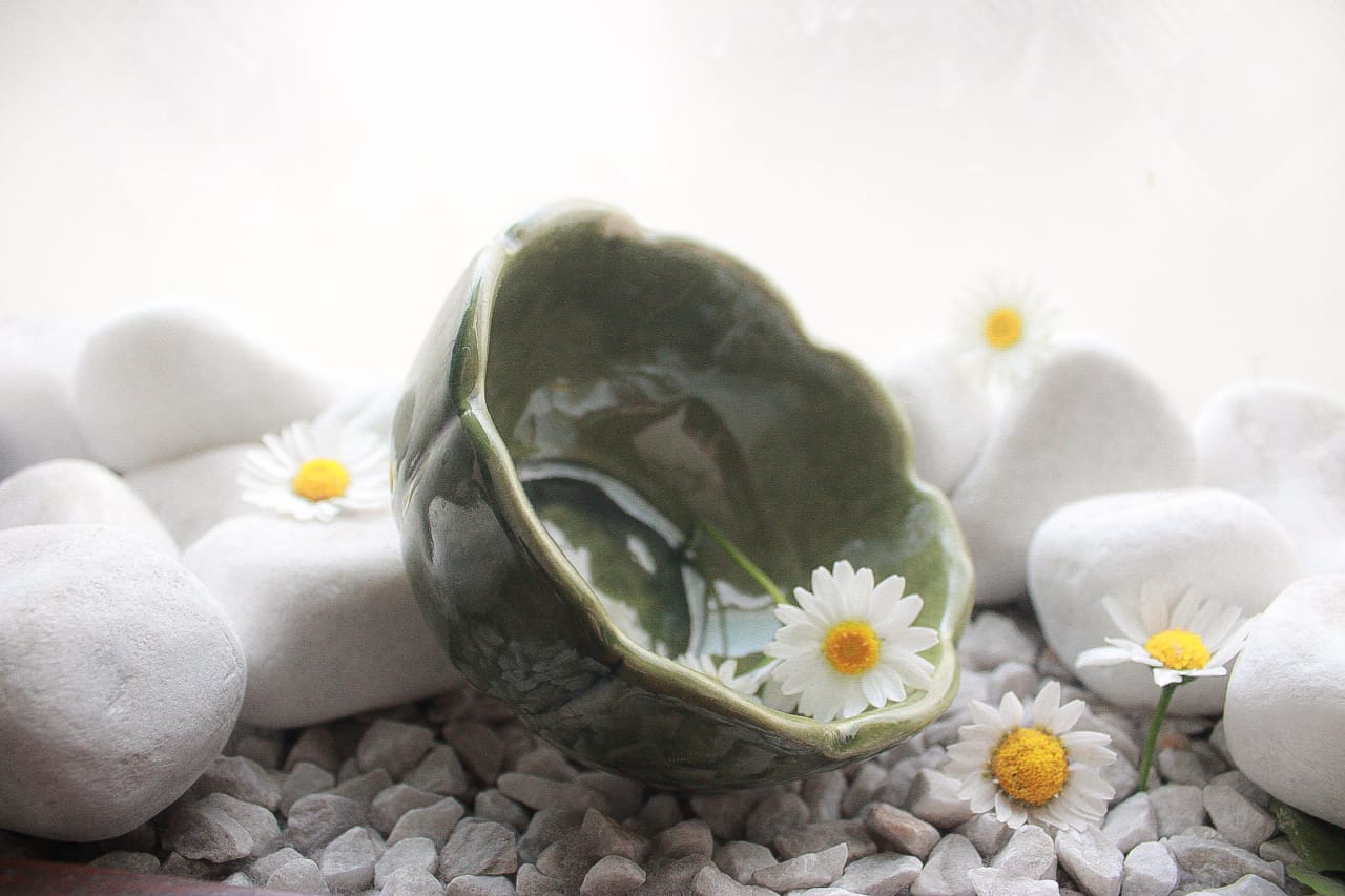 Clover Bowls